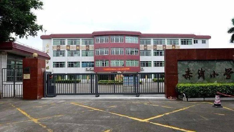 在线学习平台的春天:教育的新模式